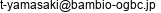 E-mail