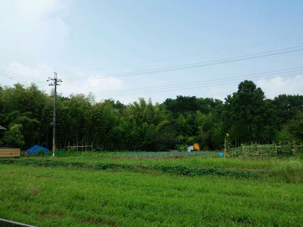 自宅からの夏の風景