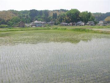 富山県氷見市より （2007.08）