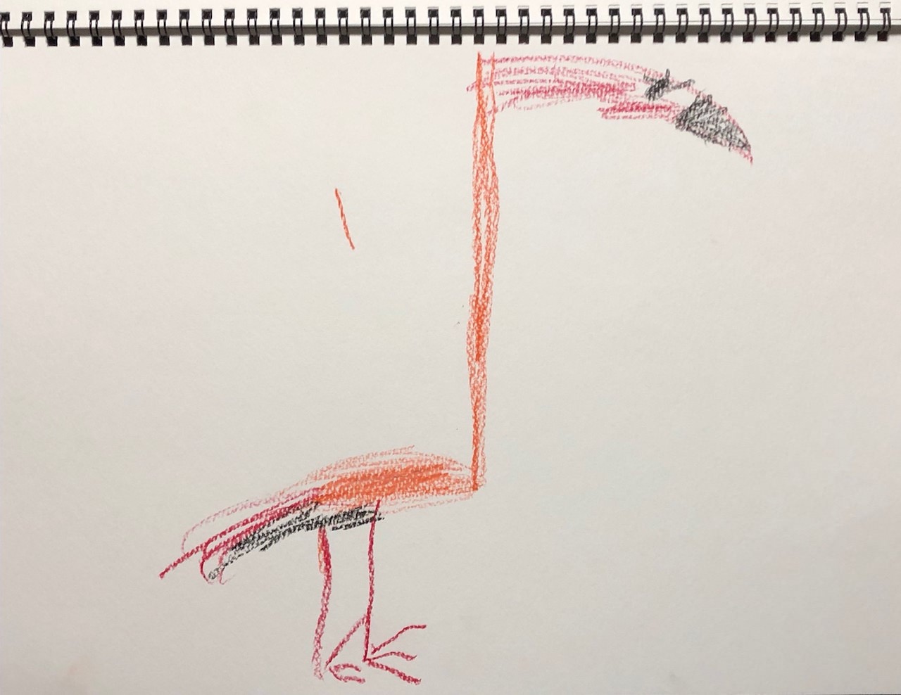 art-education-4-flamingo.jpg