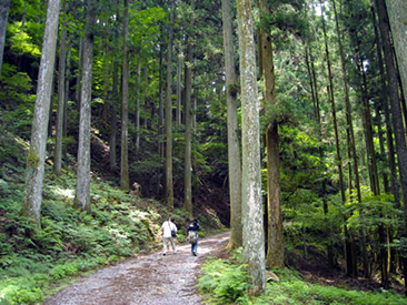 来年から始動する「岡崎・額田の森　アート・プロジェクト」のため、森の奥へと調査にむかう！